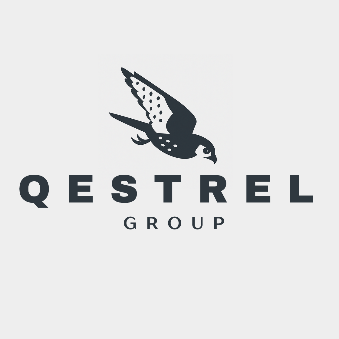 Qestrel
